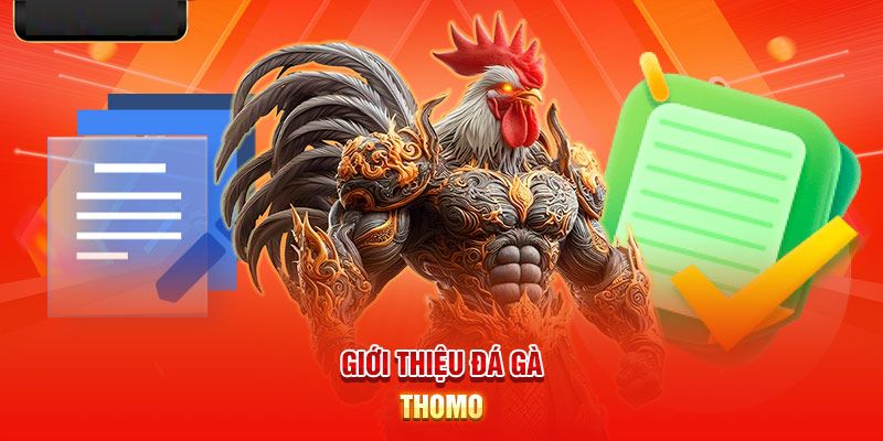 Giới thiệu ngắn về đá gà Thomo tại sân chơi 23win